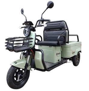 Emma  AM1000DZH5N Electric tricycle