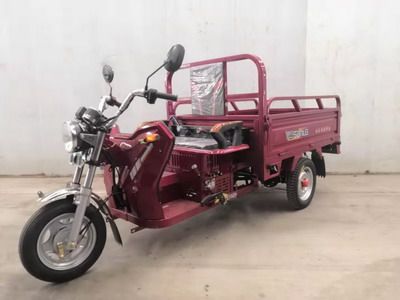 Sanling  SL110ZH right three-wheeled motorcycle 