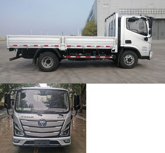 Foton  BJ1098VDJEAFM Truck