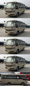 Jinlong  XMQ6668AYD5D coach