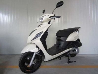 Feihu  FH125T8A Two wheeled motorcycles