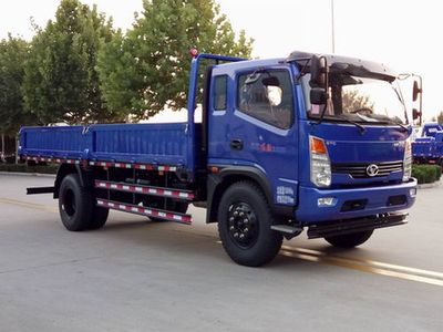 Shifeng SSF1152HJP89Truck