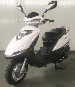 Wangjiang  WJ125T23 Two wheeled motorcycles