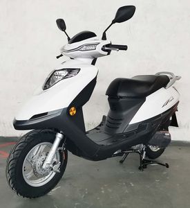 Wangjiang  WJ125T23 Two wheeled motorcycles