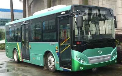 Wuzhoulong WZL6852EVGPure electric city buses