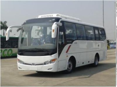 Jinlong  XMQ6859BYD4C coach