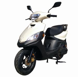 Yoyo  YY100T5C Two wheeled motorcycles