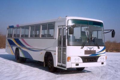 Shenfei  SFQ6982E coach