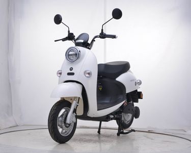 Emma  AM500DQT25A Electric two wheeled light motorcycle