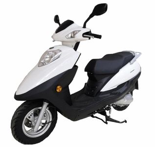 Dayun  DY125T21AF Two wheeled motorcycles