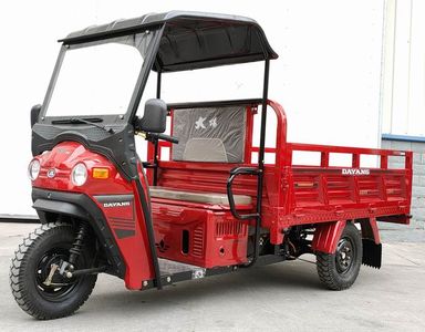 Dayang  DY3000DZH3 Electric tricycle