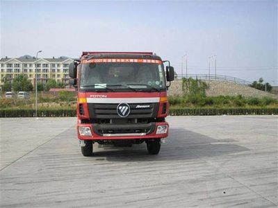 Foton  BJ3253DLPJE8 Dump truck