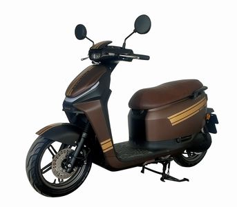 Qianjiang  QJ3000DT3B Electric two wheeled motorcycle