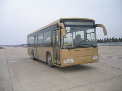 Dongfeng DHZ6100CF1City buses