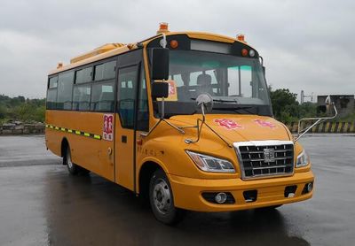 Chinese license plate carsTEG6760XFD80SSchool buses exclusively for primary school students