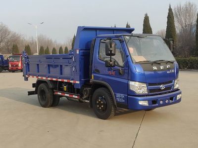 Shifeng SSF3042DDJ52FXDump truck