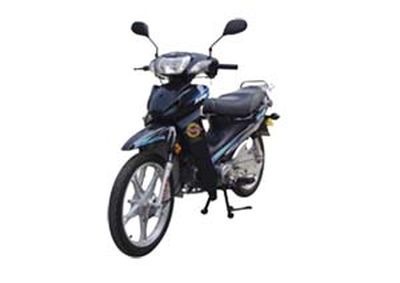 Qianjiang  QJ11018G Two wheeled motorcycles