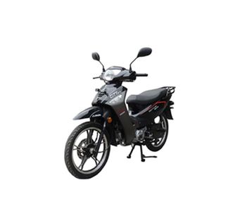 Qianjiang  QJ11018G Two wheeled motorcycles