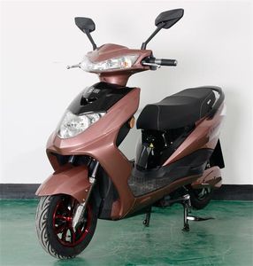 Wangpai  WP1500DT Electric two wheeled motorcycle