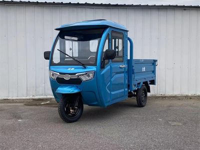 Dajiang  DJ1500DZH6 Electric tricycle