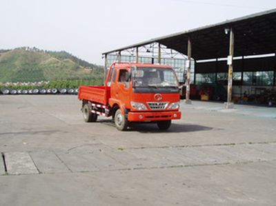 Shitong  STQ1030L2Y1 Truck