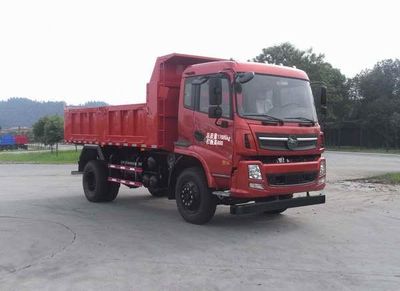 Nanjun  CNJ3120ZRPA39M Dump truck