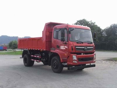 Nanjun  CNJ3120ZRPA39M Dump truck