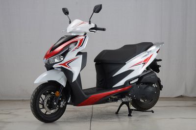 Dayang  DY125T20 Two wheeled motorcycles