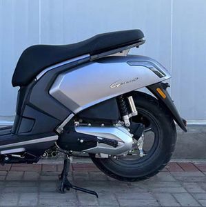 Lice  LK110T2 Two wheeled motorcycles