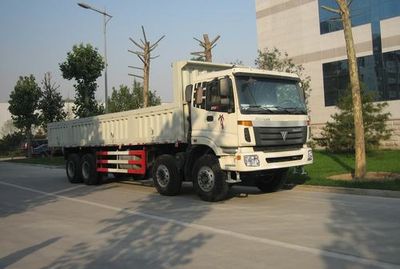 Ouman  BJ3313DMPKJXA Dump truck