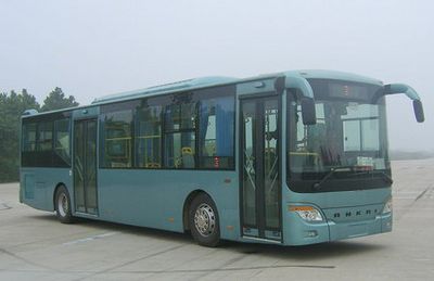 Ankai  HFF6126GZ4 City buses