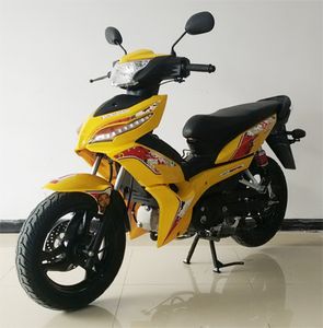 Fenghuolun  FHL1256 Two wheeled motorcycles