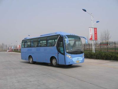 Shuchi  YTK6851F coach