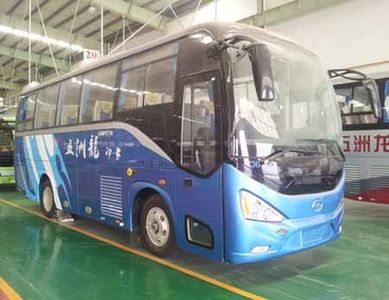 Wuzhoulong WZL6900NA51coach