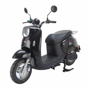 Baodao  BD600DQT20 Electric two wheeled light motorcycle