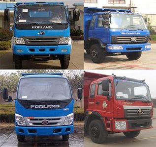 Foton  BJ3042V3PDBB1 Dump truck