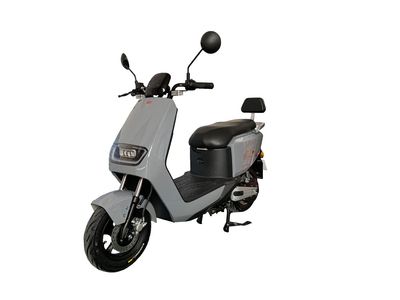 Dayang  DY800DT2 Electric two wheeled motorcycle