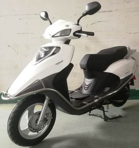 Dafu  DF100T12B Two wheeled motorcycles