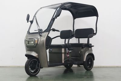 Tailing  TL1200DZK18 Electric tricycle