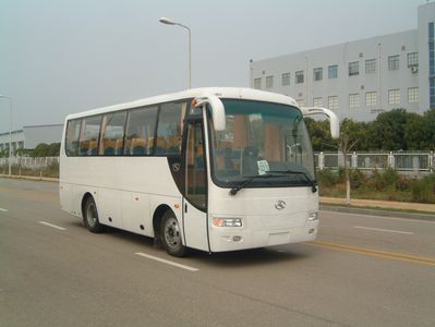 Jinlong  XMQ6801Y coach