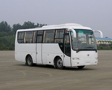 Jinlong  XMQ6801Y coach