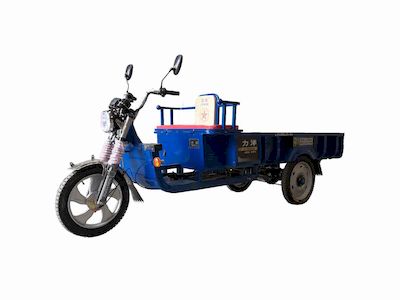 Liyang  LY3000DZH4A Electric tricycle