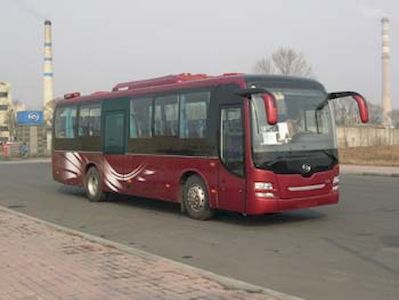 Huanghai  DD6109K64 coach