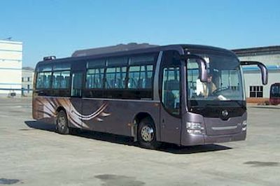 Huanghai  DD6109K64 coach