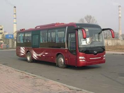 Huanghai  DD6109K64 coach