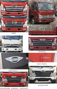 Foton  BJ1046V9JDA02 Truck