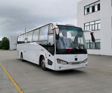 HagridKLQ6111HYE61coach