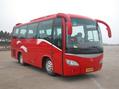 Friendship  ZGT6748DHG coach