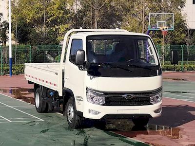 Foton  BJ1045V9JB723 Truck