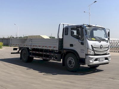 Foton  BJ1188VLPFDFM Truck